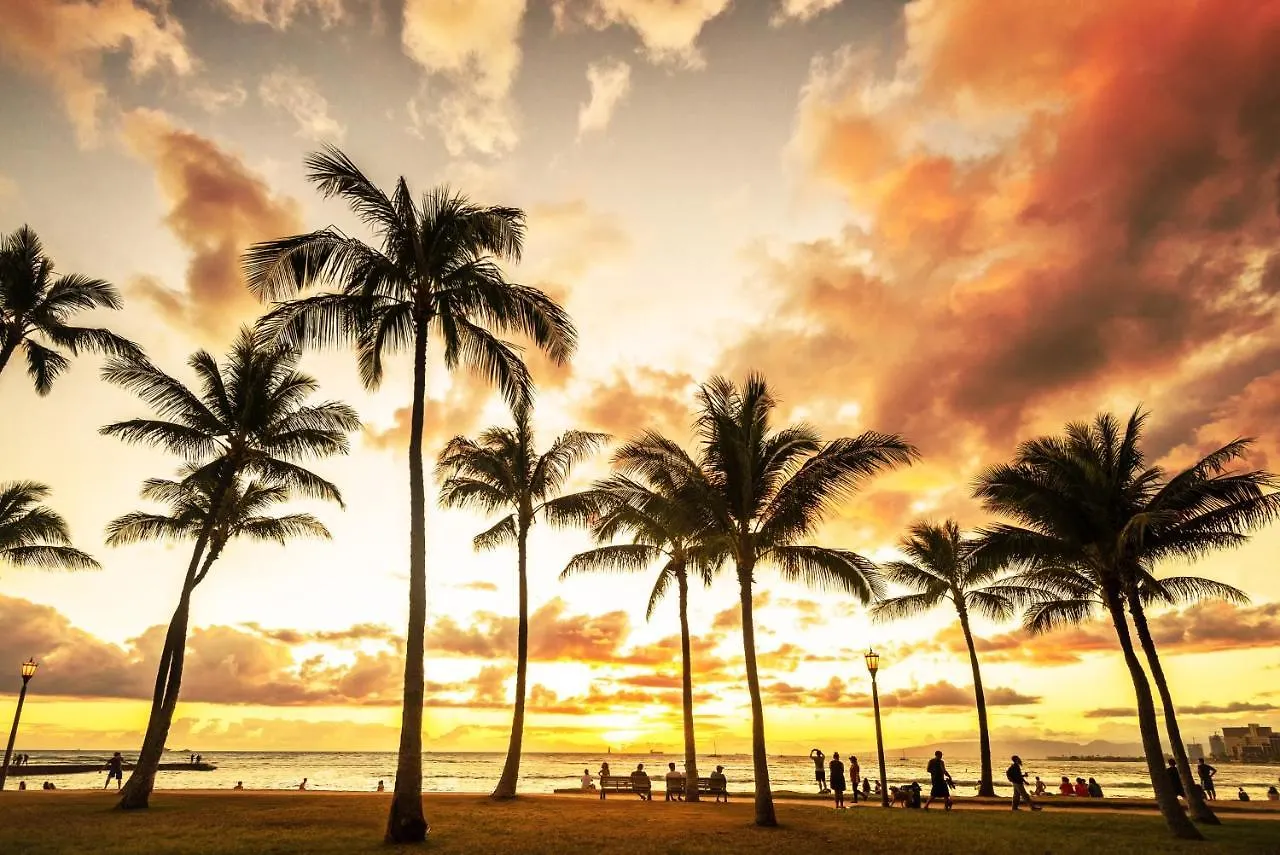 Aqua Palms Waikiki Ocean View Lanai Parking Included Apartment Honolulu United States